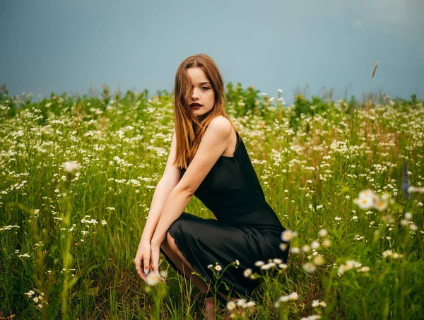 Beautiful young girl in a black evening dress poses crouching in front of a daisy field on a cloudy summer day. Portrait of a female model outdoors. Rainy weather. Gray clouds.
