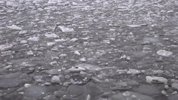 Θαλασσινός Πάγος Που Κινείται Κύματα Ισλανδία Χειμώνα — Αρχείο Βίντεο