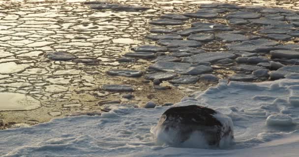Sea Ice Forming Close Shore Iceland — Vídeo de Stock