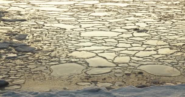 Sea Ice Forming Shore Making Intricate Patterns Iceland — Stock video