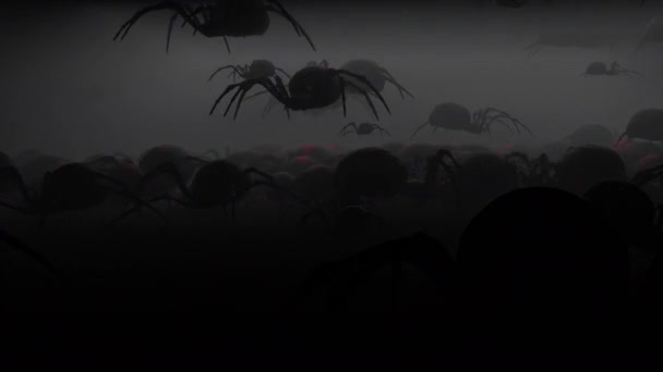 Animations Αράχνη Για Στοιχειωμένο Σπίτι Απόκριες — Αρχείο Βίντεο