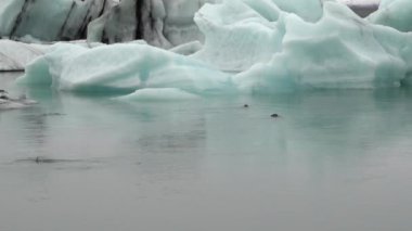Jokulsarlon İzlanda 'nın manzaralı buzul gölü