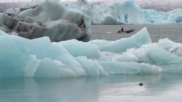 Сценічна Лагуна Льодовика Йокулсарлон Ісландія — стокове відео