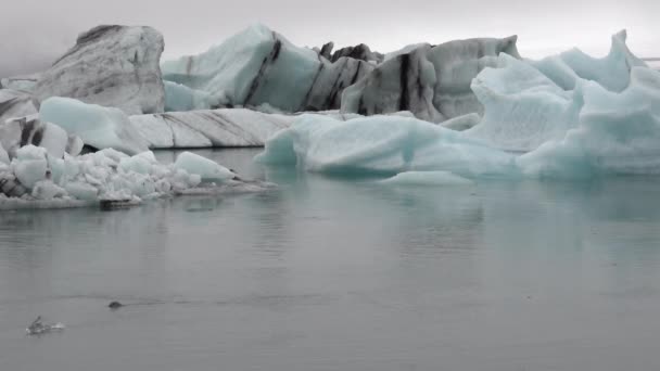Jokulsarlon冰岛风景秀丽的冰川泻湖 — 图库视频影像