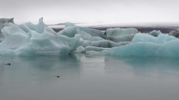 Сценічна Лагуна Льодовика Йокулсарлон Ісландія — стокове відео