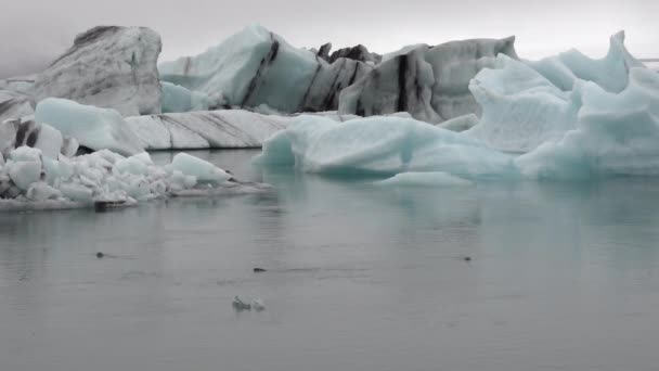 Γραφική Λιμνοθάλασσα Του Παγετώνα Jokulsarlon Ισλανδία — Αρχείο Βίντεο