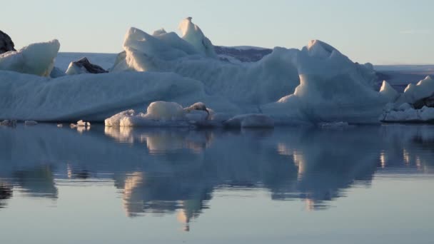 Jokulsarlon Zlanda Nın Manzaralı Buzul Gölü — Stok video