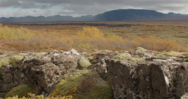 Thingvellir Park Iceland Autumn Low Ground Sliding — Stock Video