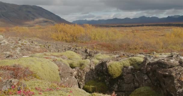 Thingvellir Park Iceland Autumn Moving Low Rock Fissure — Stock Video