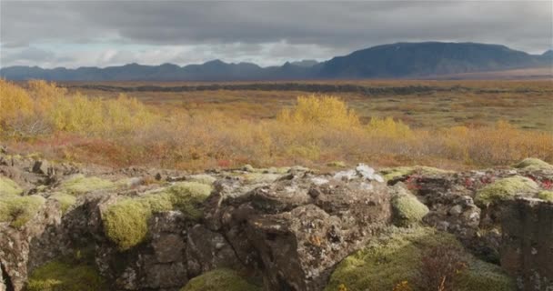 Thingvellir Park Iceland Autumn Sliding — Stock Video