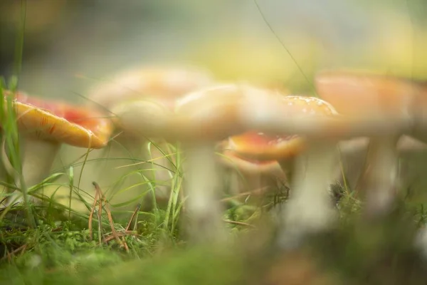 Güzel İzlanda 'dan manzara manzaraları