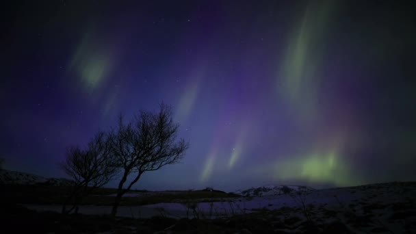 북극해에 아이슬란드 아름다운 — 비디오