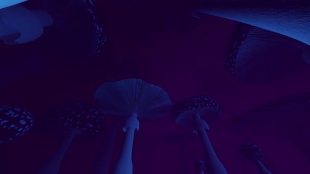 Amanita Muscaria Setas Lazo Inconsútil Niebla Púrpura Brillo Iridiscente — Vídeos de Stock