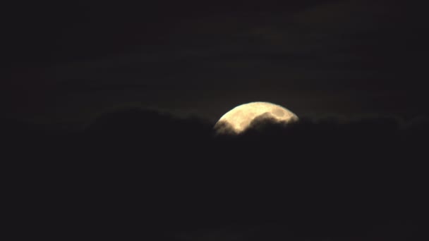 Яркое Полнолуние Покрытое Тёмными Облаками — стоковое видео