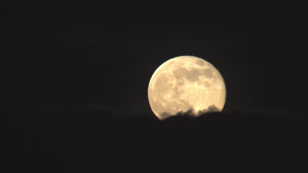 Szczegółowa Pełnia Księżyca Wznosząca Się Ponad Chmurami — Wideo stockowe