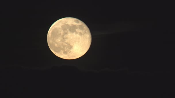 Luna Llena Saliendo Través Nubes Tenues Lapso Tiempo — Vídeos de Stock