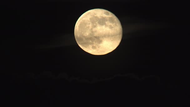 Full Super Moon Rising Clouds — Stock Video