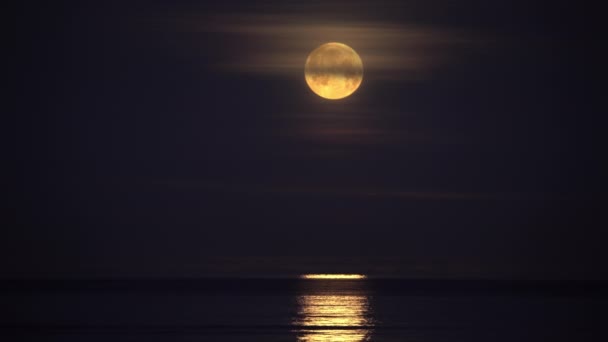 满月穿过云雾 在平静的海洋中反射出低空飞鸟的光芒 — 图库视频影像
