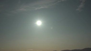 Güneşin önünde uçan kaz sürüsü