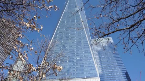 Folhas Estéreis Tremulam Durante Inverno Frente Freedom Tower — Vídeo de Stock