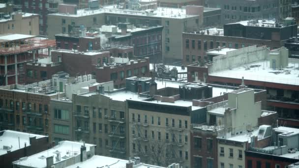 Manhattan New York Kald Vinterdag – stockvideo