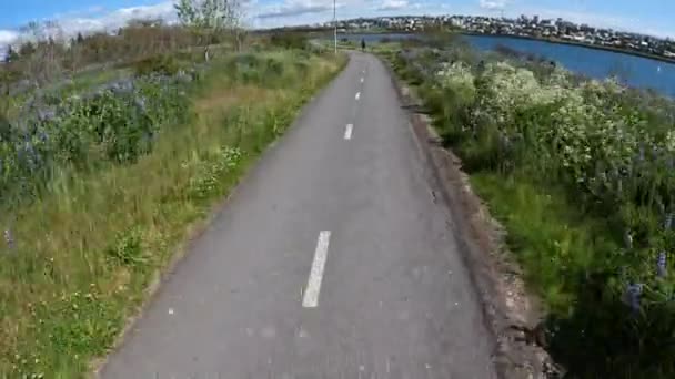 Ponto Vista Ciclismo Reykjavik Ciclovia Caminho Ensolarado Dia Verão — Vídeo de Stock