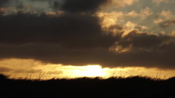 日の出に飛ぶ鳥 アイスランドの景色の遅い動き — ストック動画
