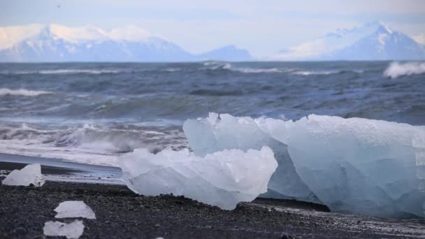冰岛钻石海滩黑沙上散落的海冰 — 图库视频影像