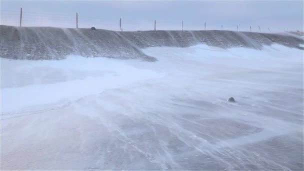 Karlar Yılanlar Gibi Sürükleniyor Donmuş Arazide Zlanda — Stok video