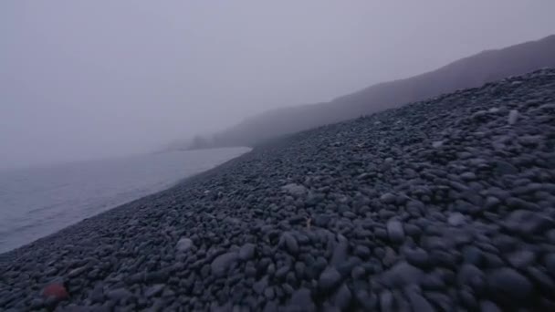 Naufragio Sopravvissuto Inciampa Giù Nebbia Spiaggia Rocciosa Punto Vista Islanda — Video Stock