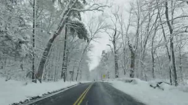 Een Besneeuwde Weg Snijdt Door Een Bos Met Bomen Bedekt — Stockvideo