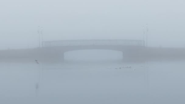 位于冰岛雷克雅未克的Tjornin湖上的桥在浓雾中 高质量的4K镜头 — 图库视频影像
