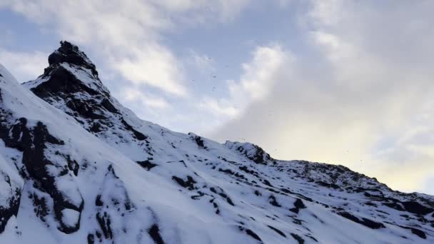 Райвенс Літає Над Міцним Ісландським Гірським Пейзажем Взимку — стокове відео