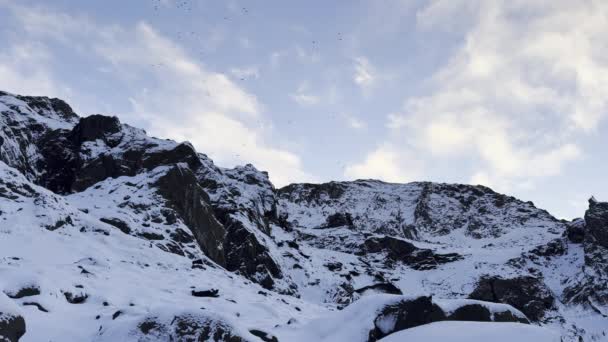 Ravens Flyger Över Ett Kargt Isländskt Bergslandskap Vintern — Stockvideo