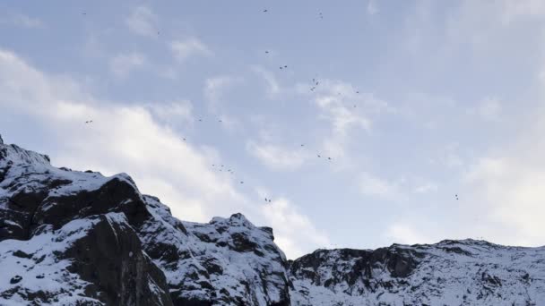 Los Cuervos Vuelan Sobre Paisaje Montañoso Islandés Escarpado Invierno — Vídeo de stock