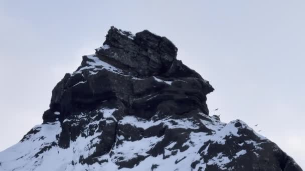 Вороны Зимой Летают Над Суровым Горным Ландшафтом Исландии — стоковое видео