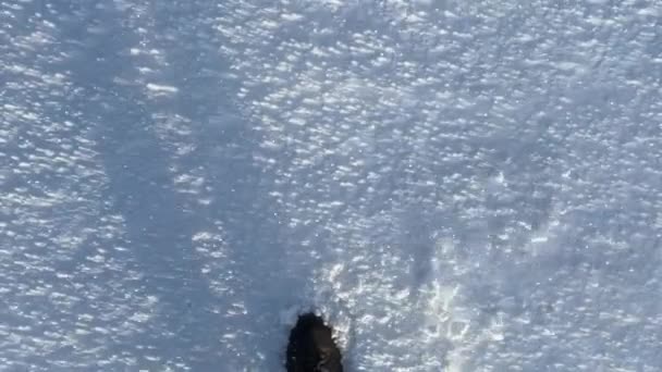 Punto Vista Que Camina Nieve Cámara Lenta Del Día Ventoso — Vídeo de stock