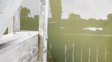 Limanın yanındaki bulanık sularda yüzen büyük bir kaplumbağa.