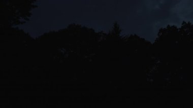 Karanlık ormanda, karamsar gökyüzünün altındaki ateşböcekleri temizliyorum.