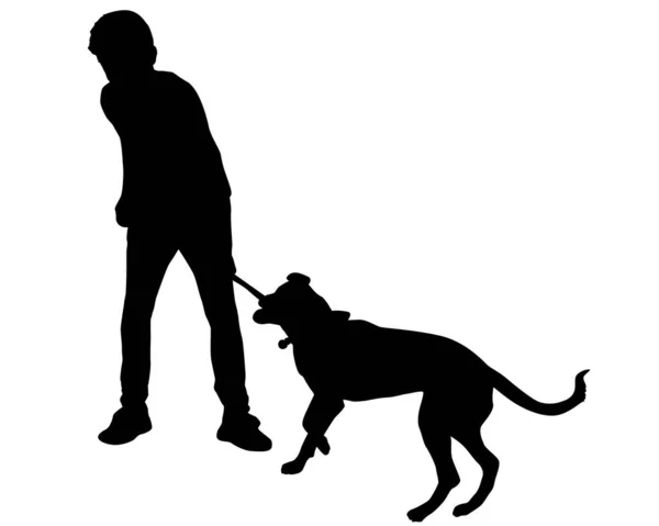 Menino Brincando Com Seu Cão Silhuetas Vetor Ilustração —  Vetores de Stock