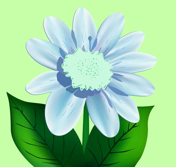 Concept Floral Illustration Fond — Image vectorielle