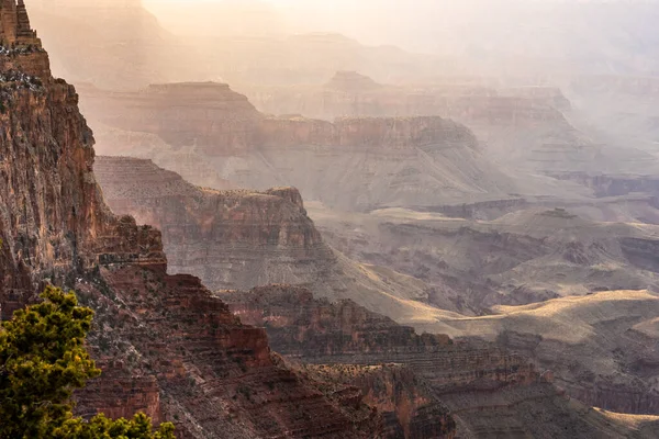 Sombras Brown Stretch Grand Canyon National Park — Fotografia de Stock