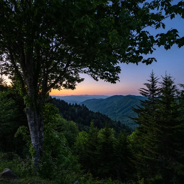 Wschód Słońca Otoczony Drzewami Parku Narodowym Great Smoky Mountains — Zdjęcie stockowe