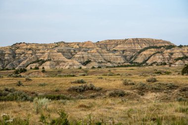 Theodore Roosevelt Ulusal Parkı 'ndaki Çorak Topraklar' dan geçen Buckhorn Yolu.