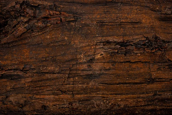 Текстура Кори Brown Petrified Wood Background Image — стокове фото