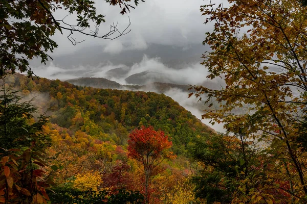 明るい色の葉が青い尾根に沿って霧の多い雲と尾根の上に高く立つパークウェイ — ストック写真