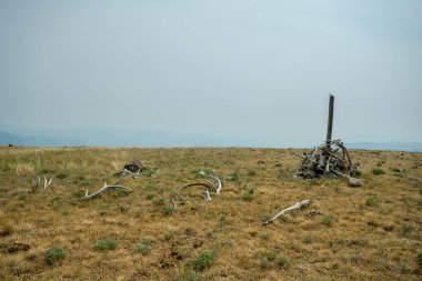 Yellowstone Ulusal Parkı 'ndaki Ametist Dağı' nın tepesindeki Büyük Geyik Boynuzları Yığını