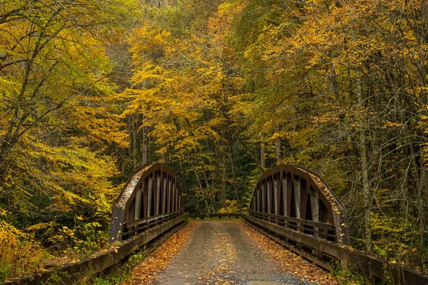 Stary Most Przecina Rzekę Smokies Mglisty Dzień Jesieni — Zdjęcie stockowe