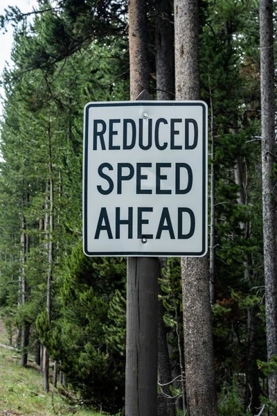 Reduced Speed Ahead Sign Wooden Post Yellowstone National Park — Stock Photo, Image