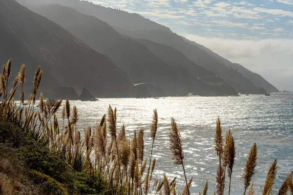 加利福尼亚1号公路沿线的海草和海脊从太平洋升起 — 图库照片